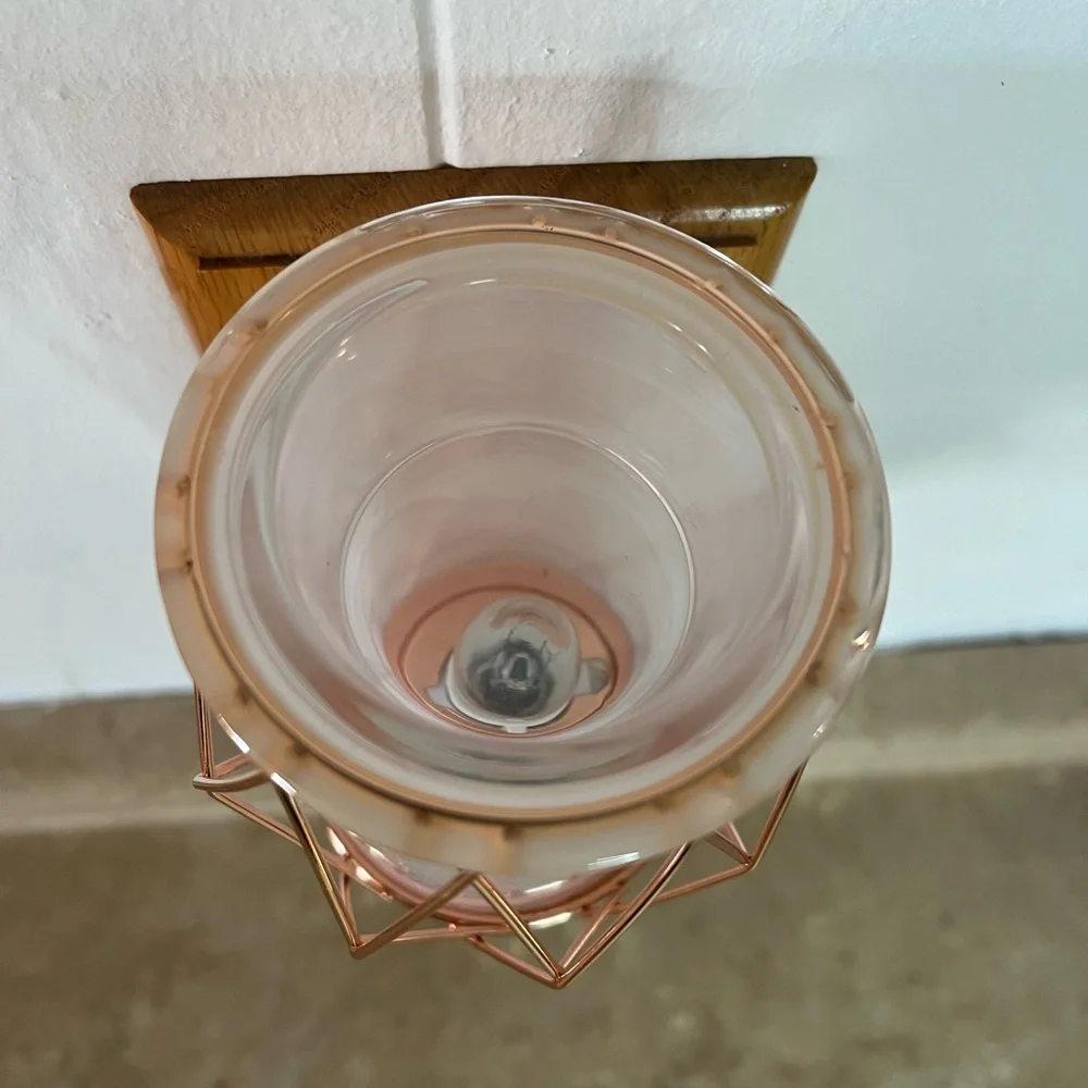 Scentsy Wire You Blushing Wax Warmer